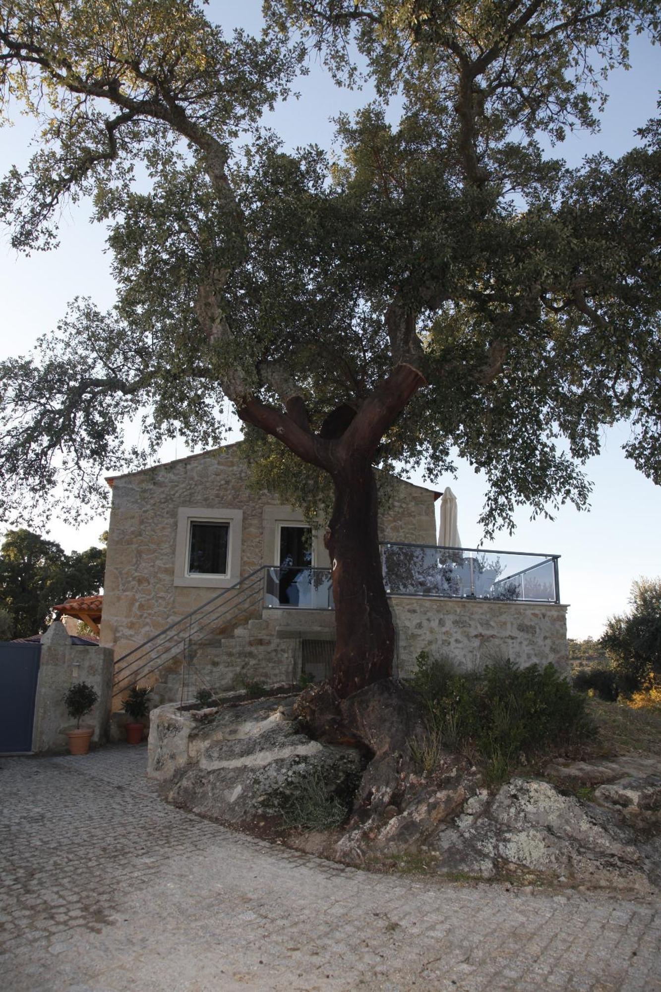 Casas Do Regato